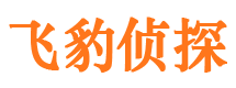 贵池市婚姻出轨调查